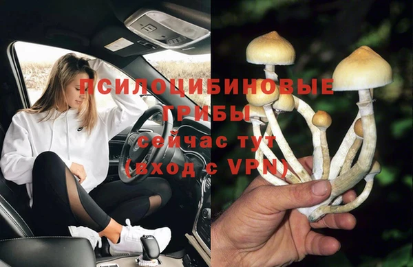 круглые Алексин