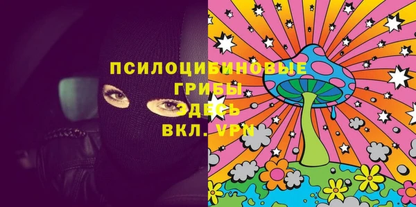 прущие крисы Абаза