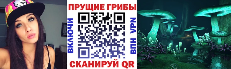 цены наркотик  Горбатов  Псилоцибиновые грибы GOLDEN TEACHER 